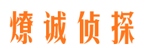 西林市场调查